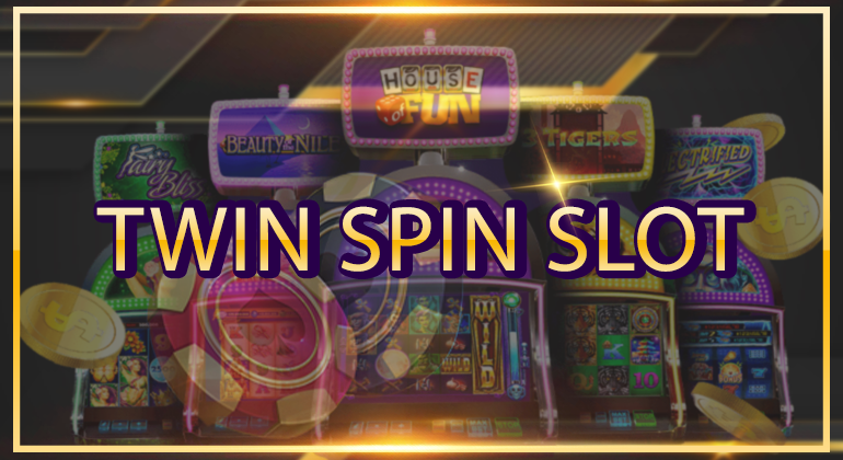 Twin Spin Slot