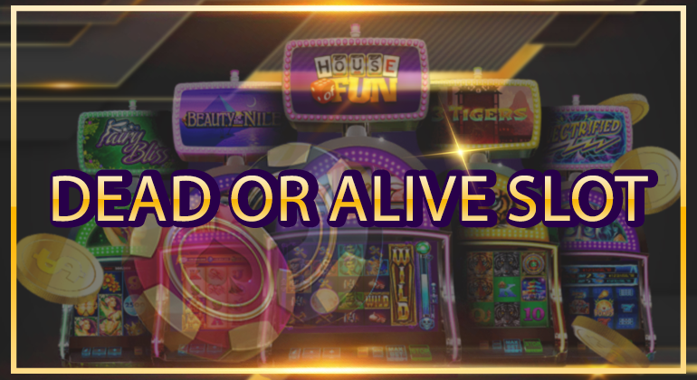 Dead or Alive Slot