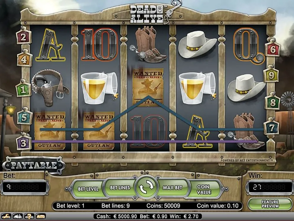 Dead or Alive Slot Review