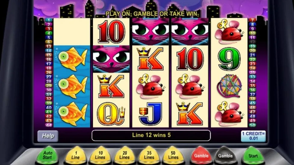 Miss Kitty Slot Review