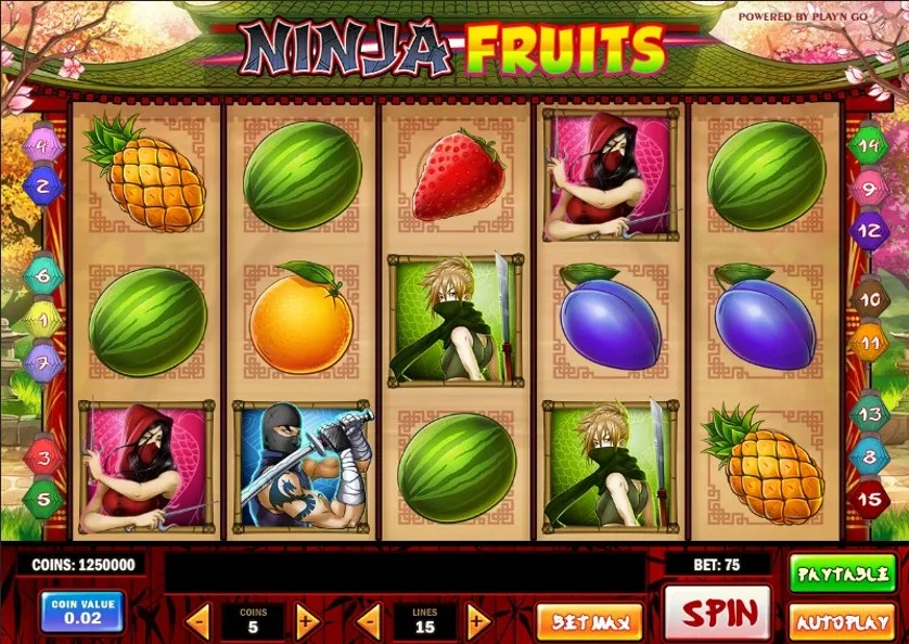 Ninja Fruits Slot Review