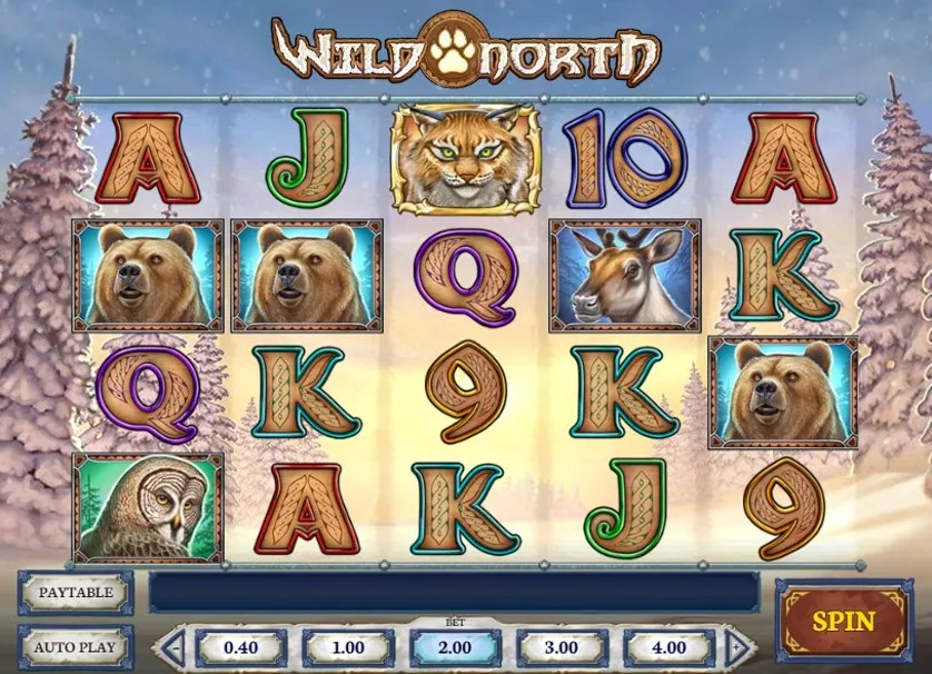 Wild North Slot Review